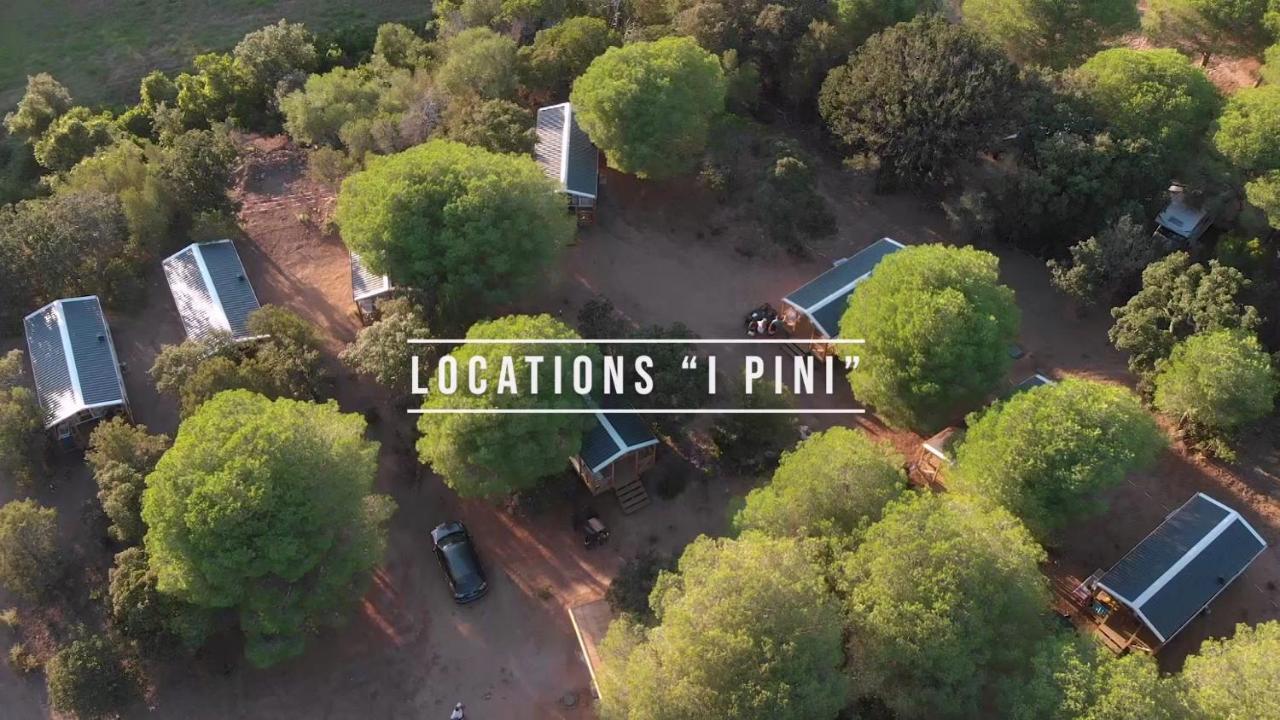 Palombaggia Location I Pini Vecchio Camping
