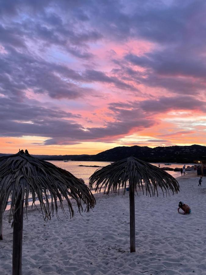 Palombaggia Location I Pini Vecchio Porto-Vecchio (Corsica)