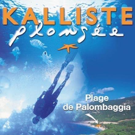 Camping Palombaggia Location I Pini Vecchio *