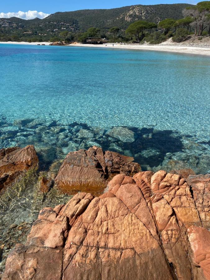 Palombaggia Location I Pini Vecchio Campsite Porto-Vecchio (Corsica)