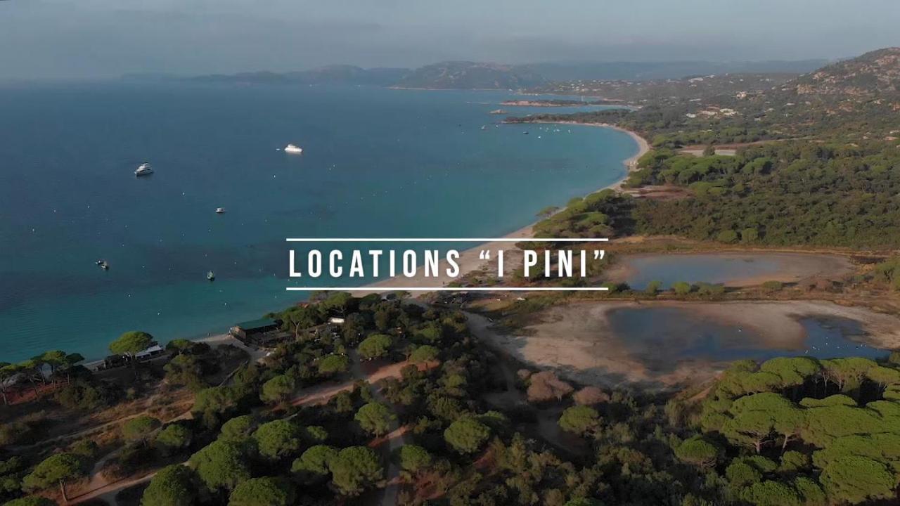 Palombaggia Location I Pini Vecchio Camping