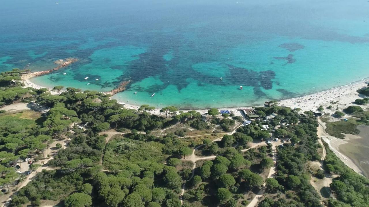 Palombaggia Location I Pini Vecchio *