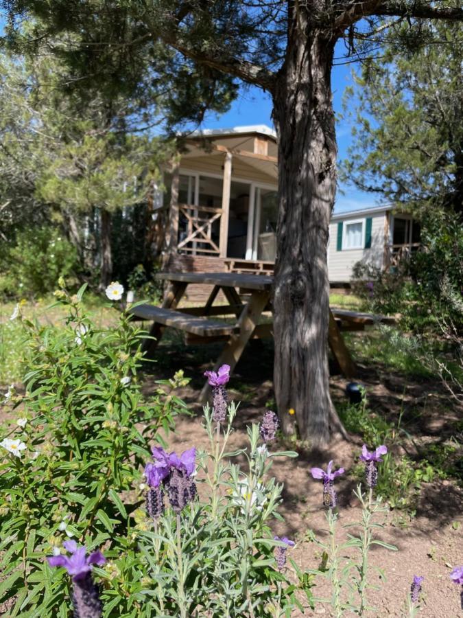 Campsite Palombaggia Location I Pini Vecchio Porto-Vecchio (Corsica)