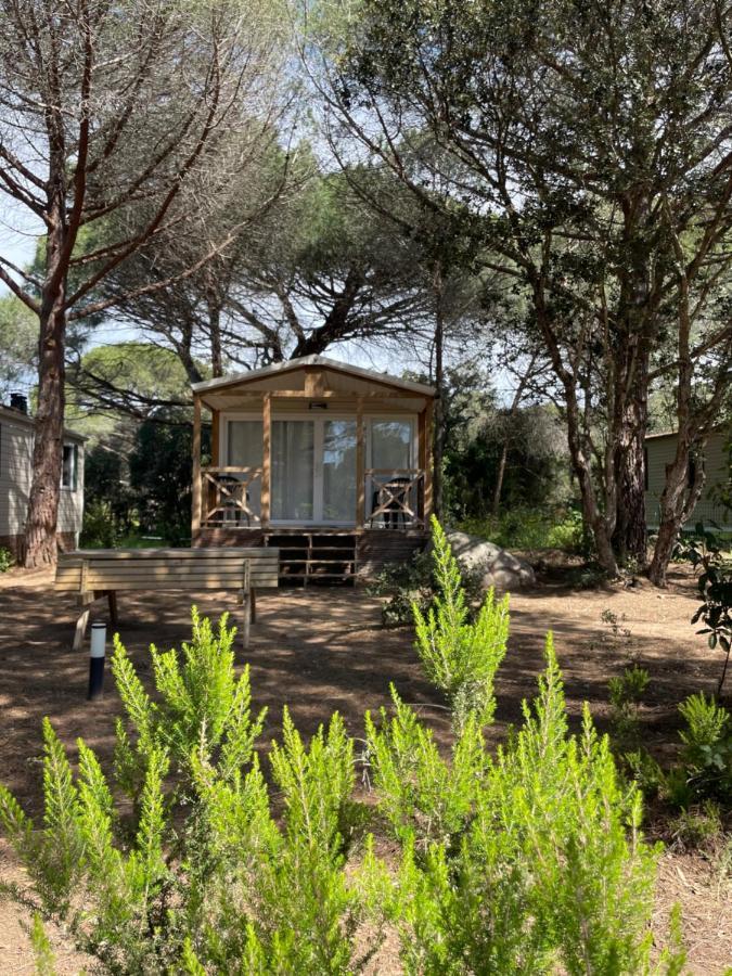 Palombaggia Location I Pini Vecchio Campsite Porto-Vecchio (Corsica)